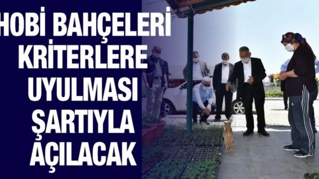 Hobi bahçeleri kriterlere uyulması şartıyla açılacak