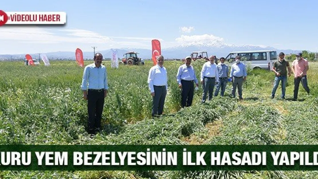 Kuru Yem Bezelyesinin İlk Hasadı Başarı İle Yapıldı