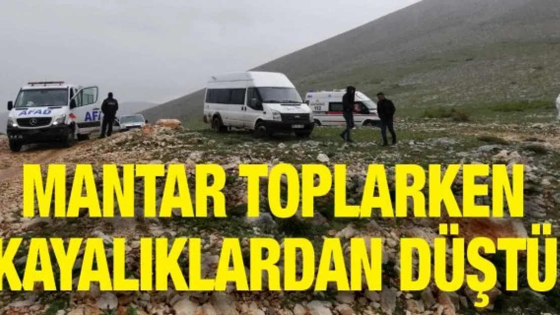 Mantar toplarken kayalıklardan düştü