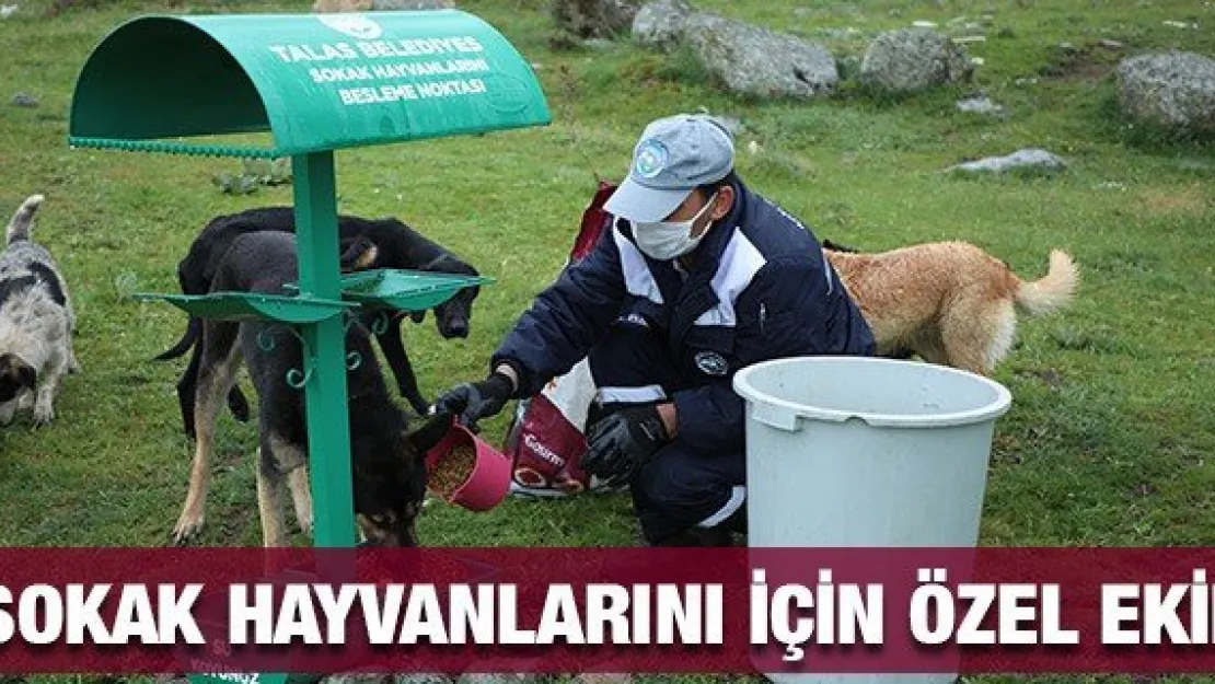 SOKAK HAYVANLARINI İÇİN ÖZEL EKİP