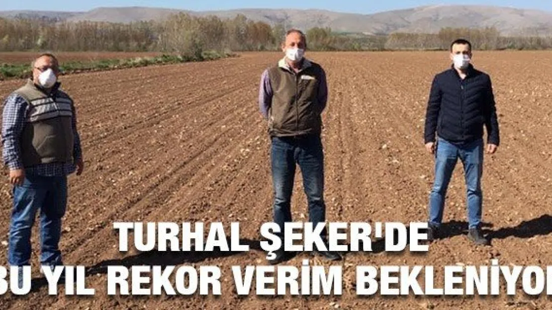 Turhal Şeker'de bu yıl rekor verim bekleniyor