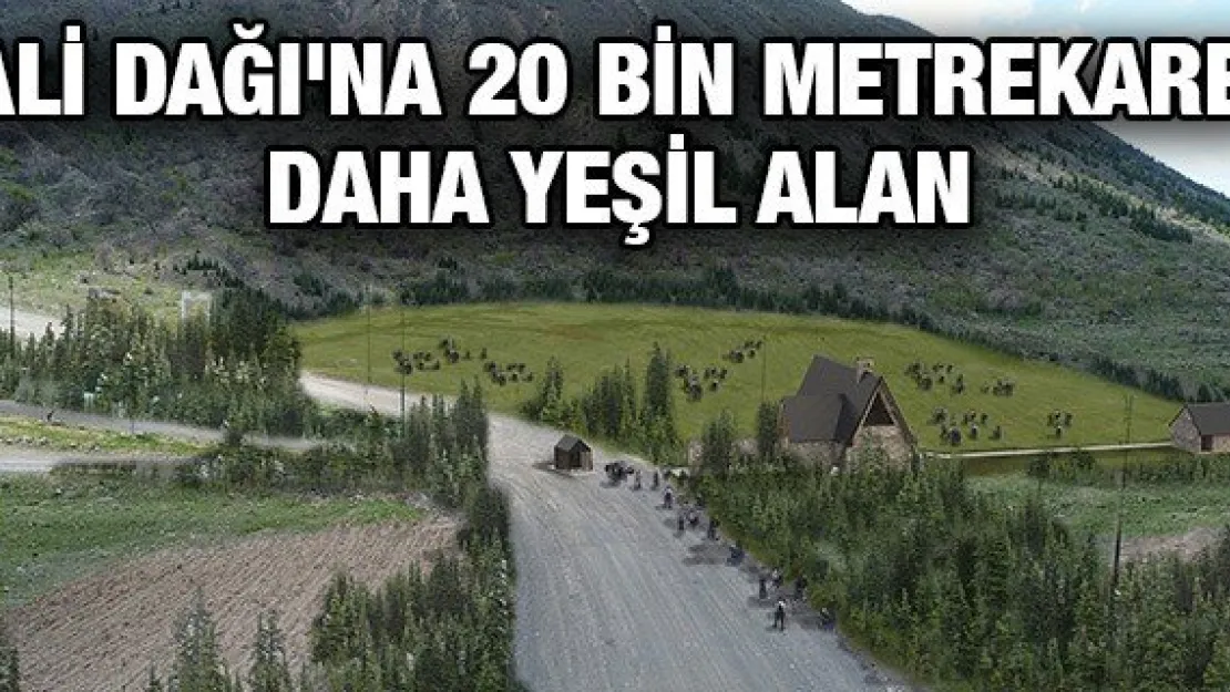 Ali Dağı'na 20 bin metrekare daha yeşil alan