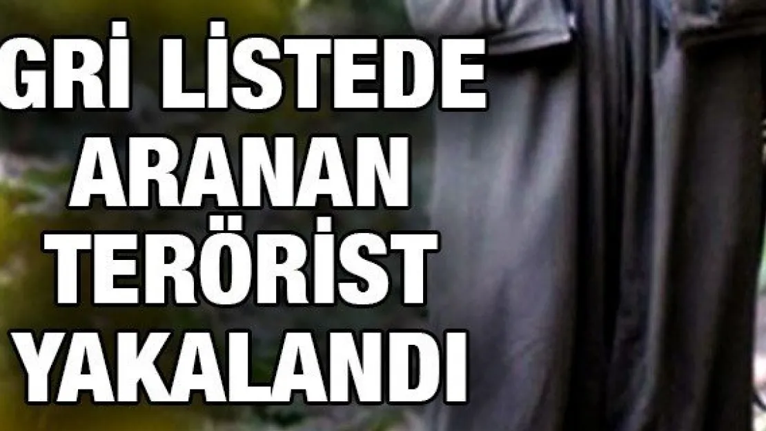 'Bitlis'te etkisiz hale getirilen 3 teröristten birinin gri listede yer aldığı belirlendi'