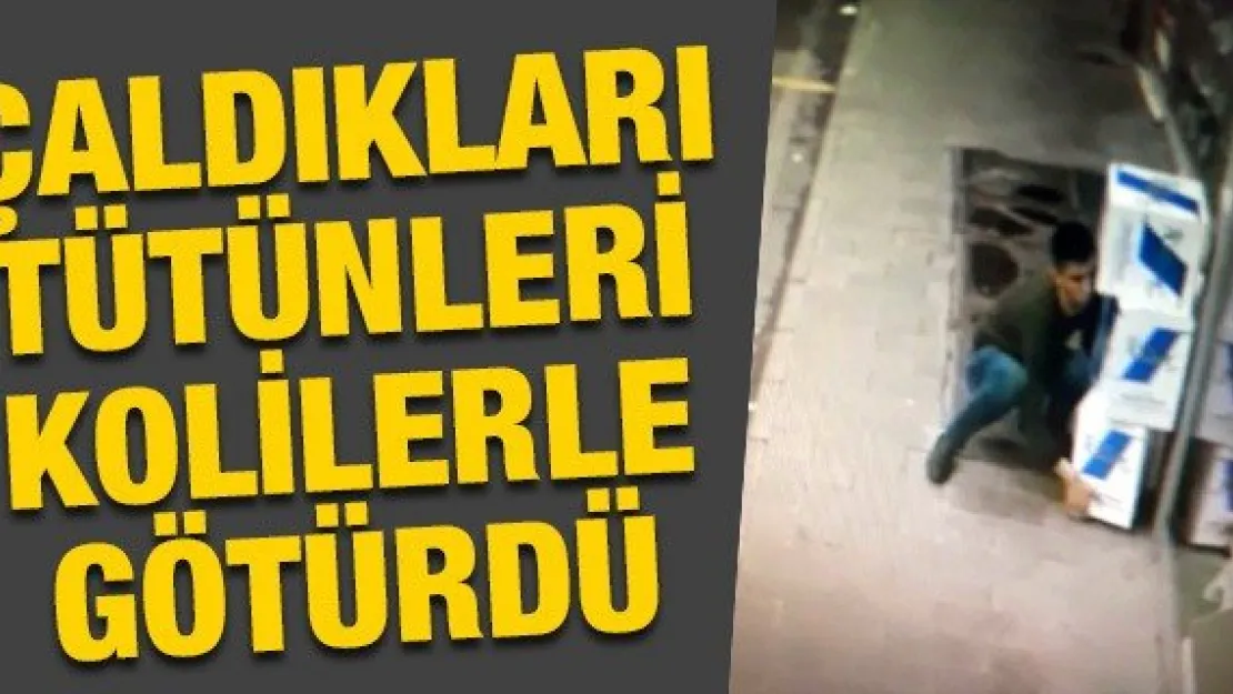 Çaldıkları tütünleri kolilerle götürdü