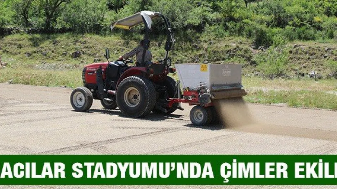 Hacılar Stadyumu'nda çimler ekildi