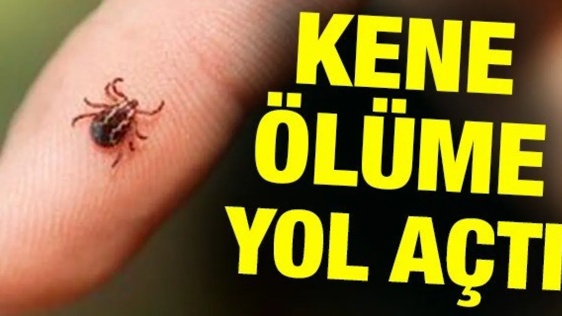 Kene ölüme yol açtı