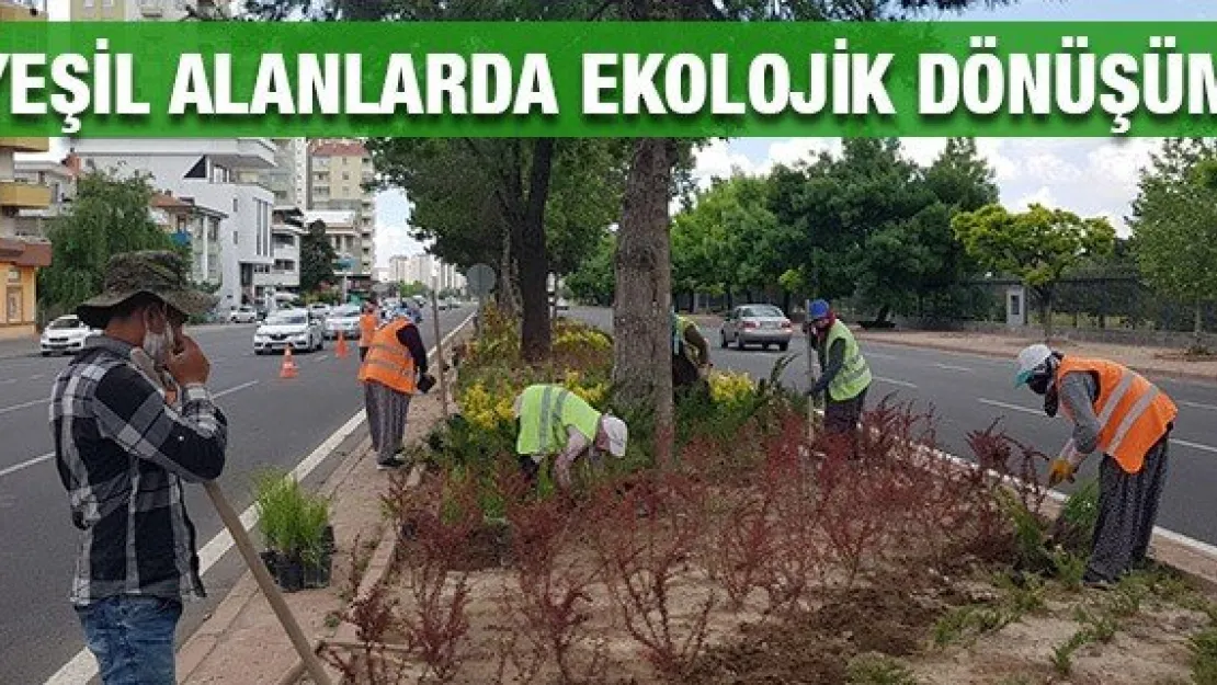 Yeşil alanlarda ekolojik dönüşüm