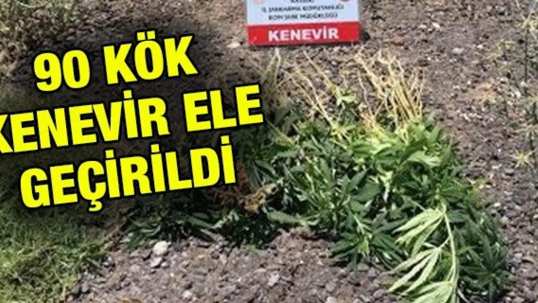 90 kök kenevir ele geçirildi
