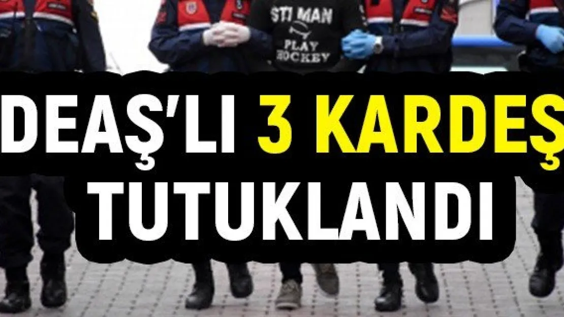 DEAŞ'lı 3 kardeş tutuklandı