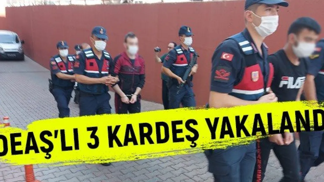 DEAŞ'lı 3 kardeş yakalandı