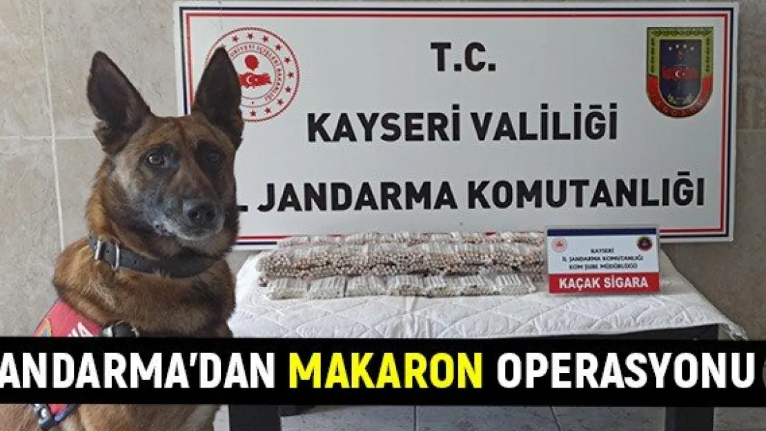 Jandarma'dan makaron operasyonu