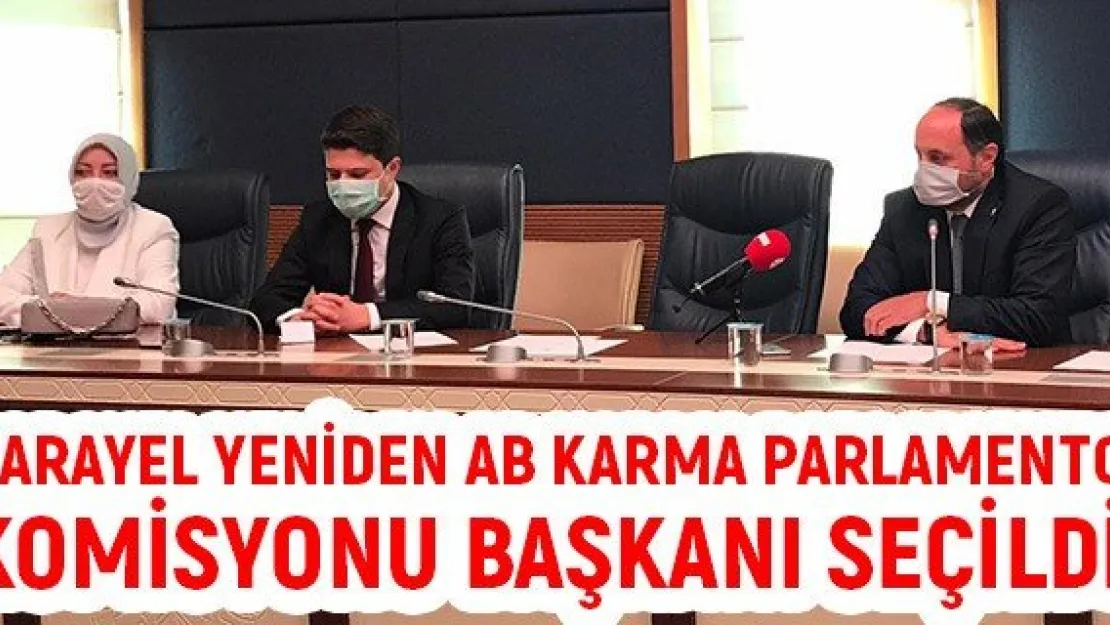 Karayel yeniden AB Karma Parlamento Komisyonu Başkanı seçildi