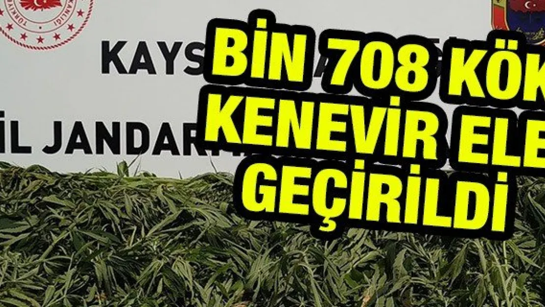 Kayseri'de bin 708 kök kenevir ele geçirildi