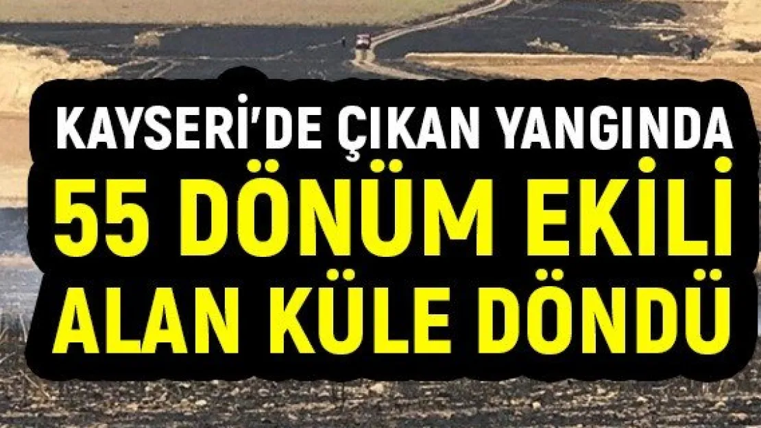 Kayseri'de çıkan yangında 55 dönüm ekili alan küle döndü