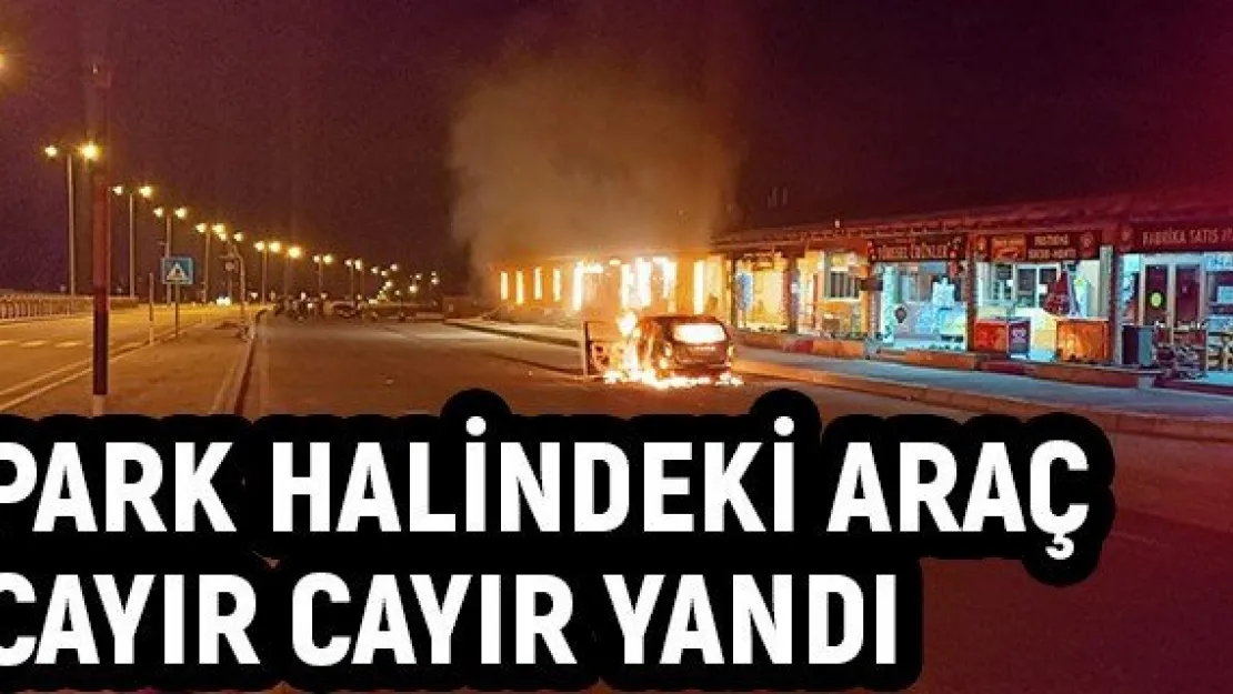 Park halindeki araç cayır cayır yandı