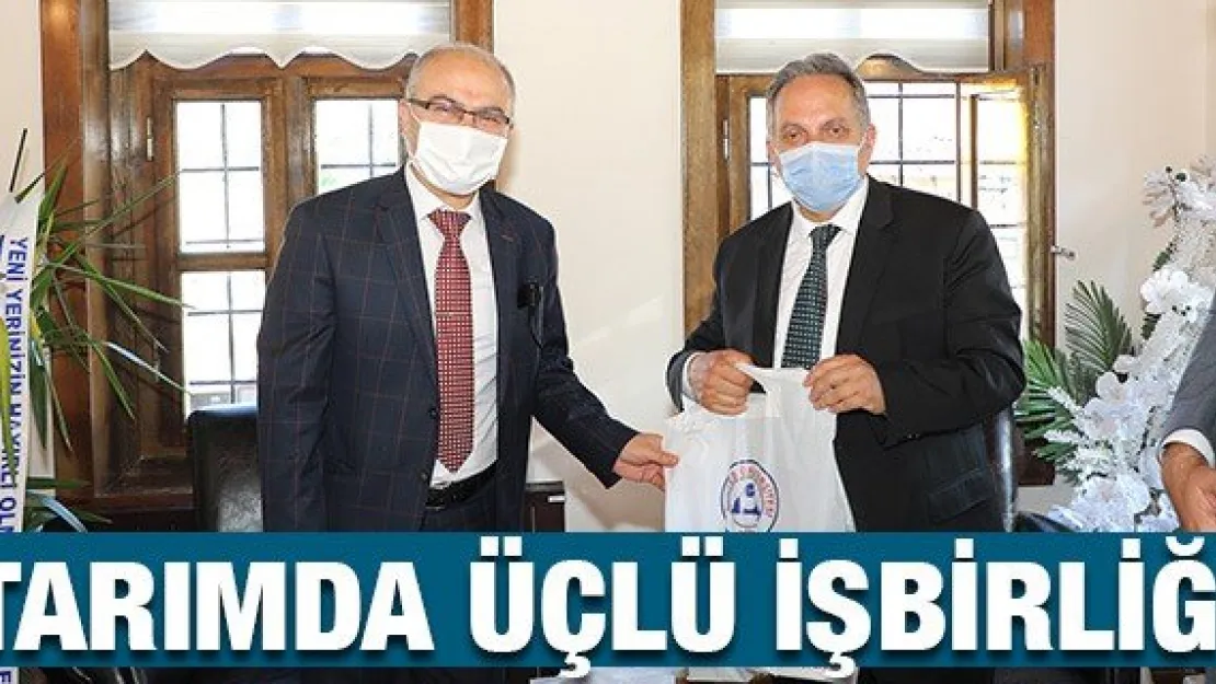 Tarımda üçlü işbirliği