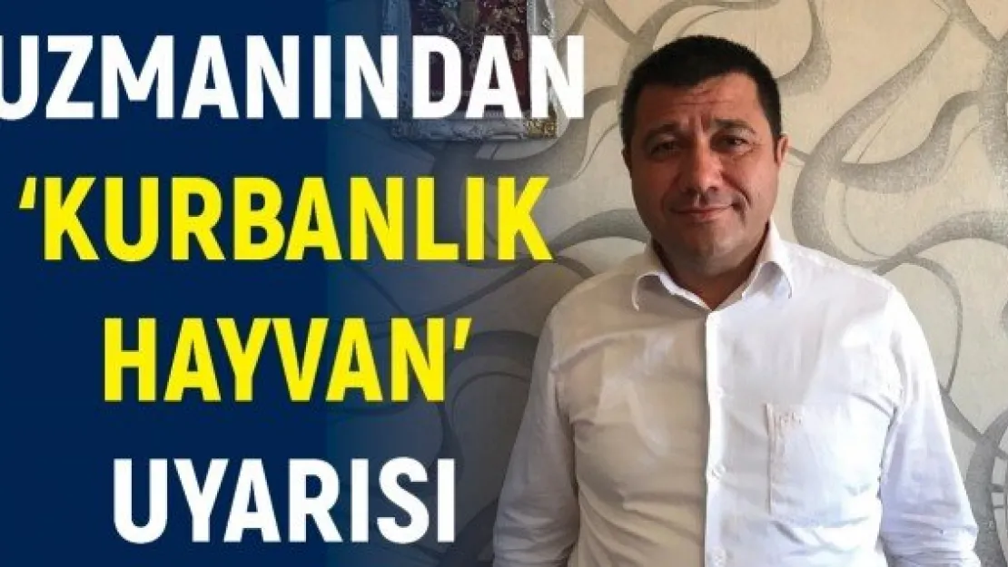 Veterinerlerden 'Kurbanlık hayvan' uyarısı