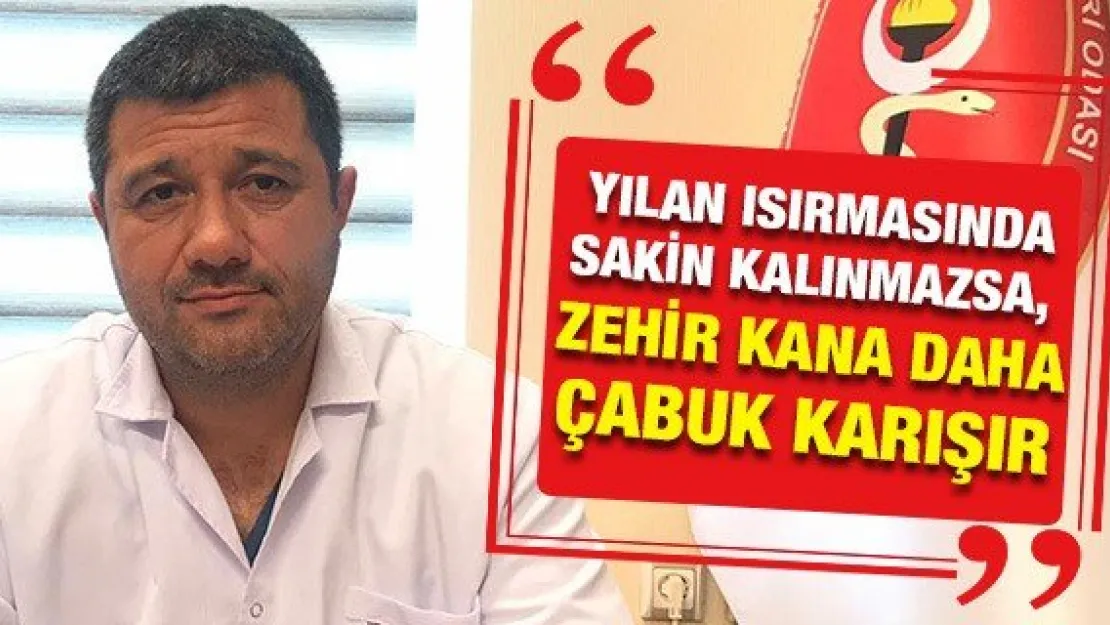 'Yılan ısırmasında sakin kalınmazsa, zehir kana daha çabuk karışır'