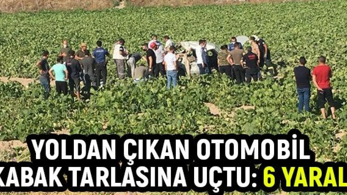 Yoldan çıkan otomobil kabak tarlasına uçtu: 6 yaralı