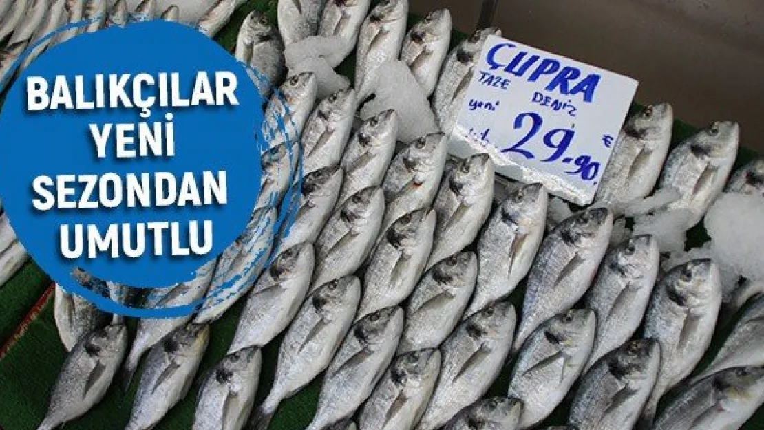 Balıkçılar yeni sezondan umutlu