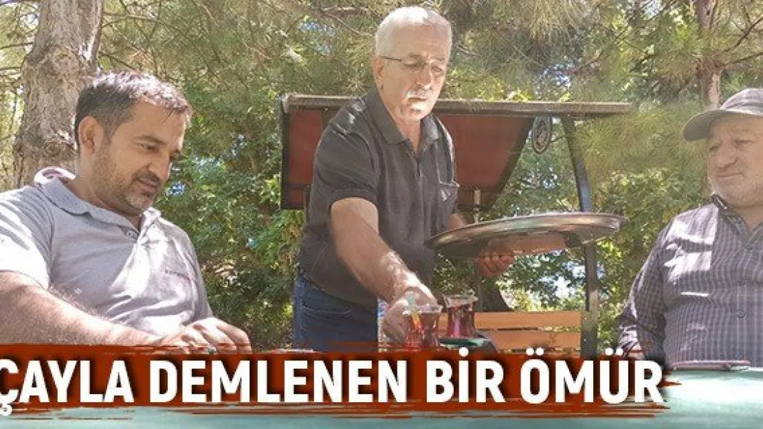 Çayla demlenen bir ömür