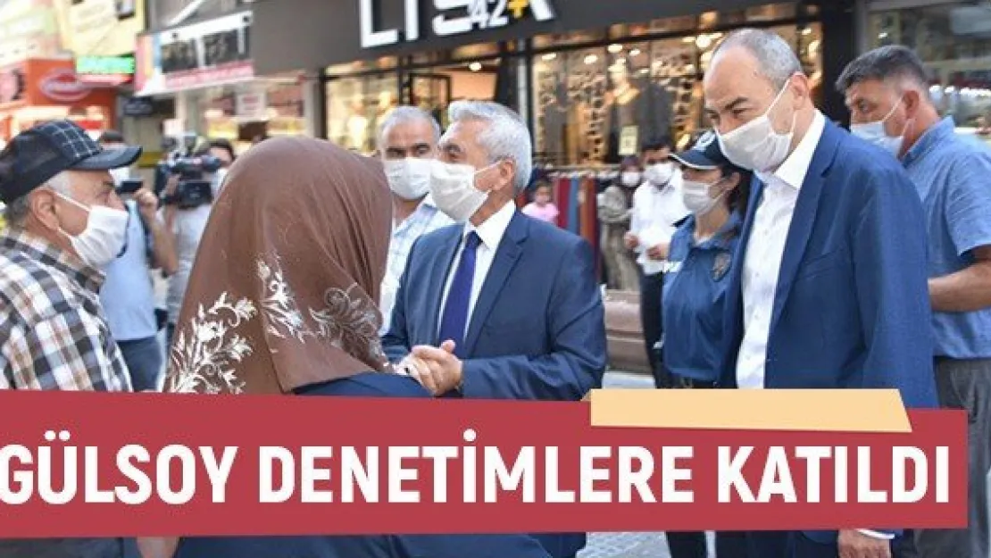 Gülsoy denetimlere katıldı