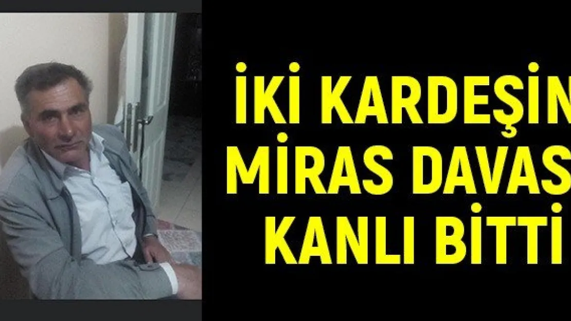 İki kardeşin miras davası kanlı bitti