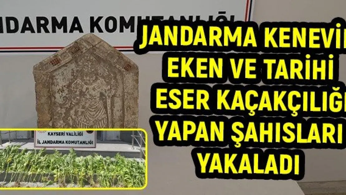 Jandarma kenevir eken ve tarihi eser kaçakçılığı yapan şahısları yakaladı