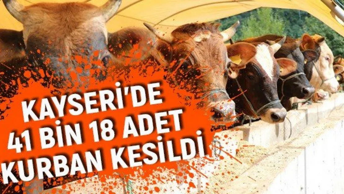 Kayseri'de 41 bin 18 adet kurban kesildi