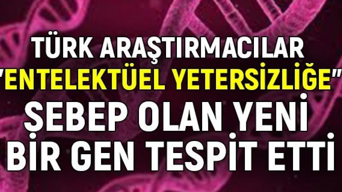 Türk araştırmacılar &quotentelektüel yetersizliğe" sebep olan yeni bir gen tespit etti