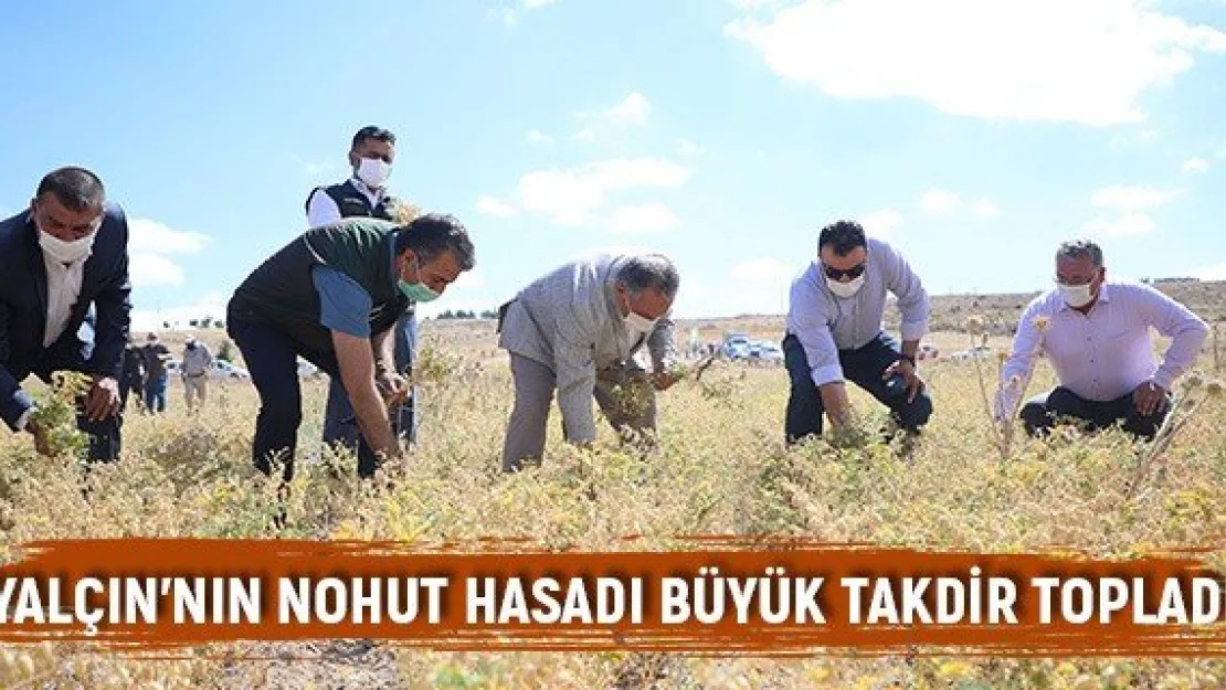Yalçın'nın nohut hasadı büyük takdir topladı