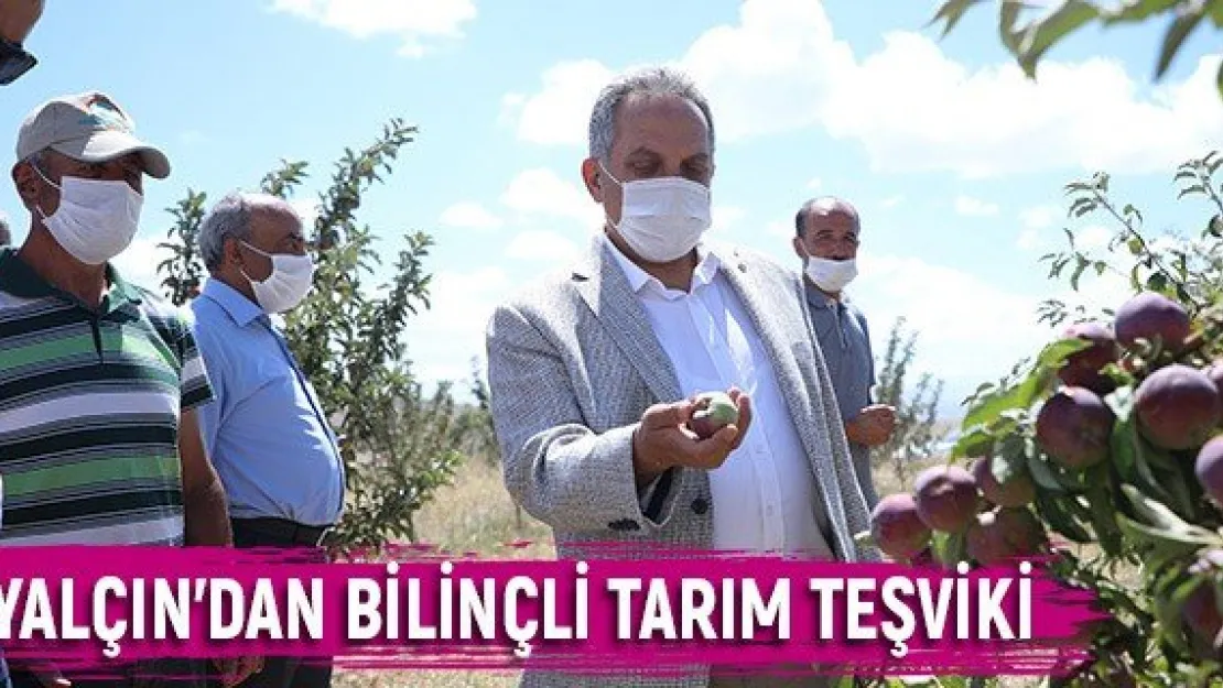 Yalçın'dan bilinçli tarım teşviki