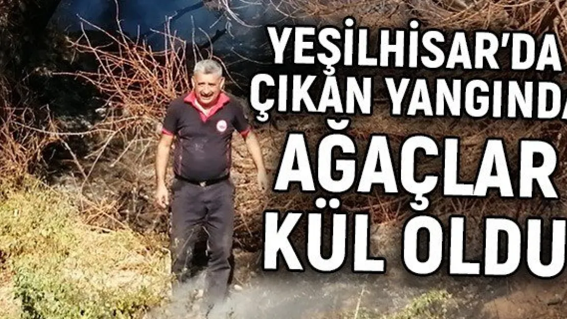 Yeşilhisar'da çıkan yangında ağaçlar kül oldu