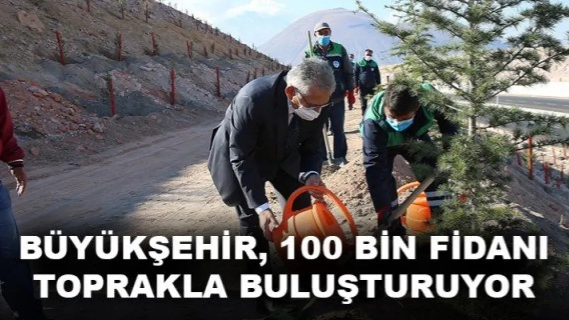 BÜYÜKŞEHİR, 100 BİN FİDANI TOPRAKLA BULUŞTURUYOR