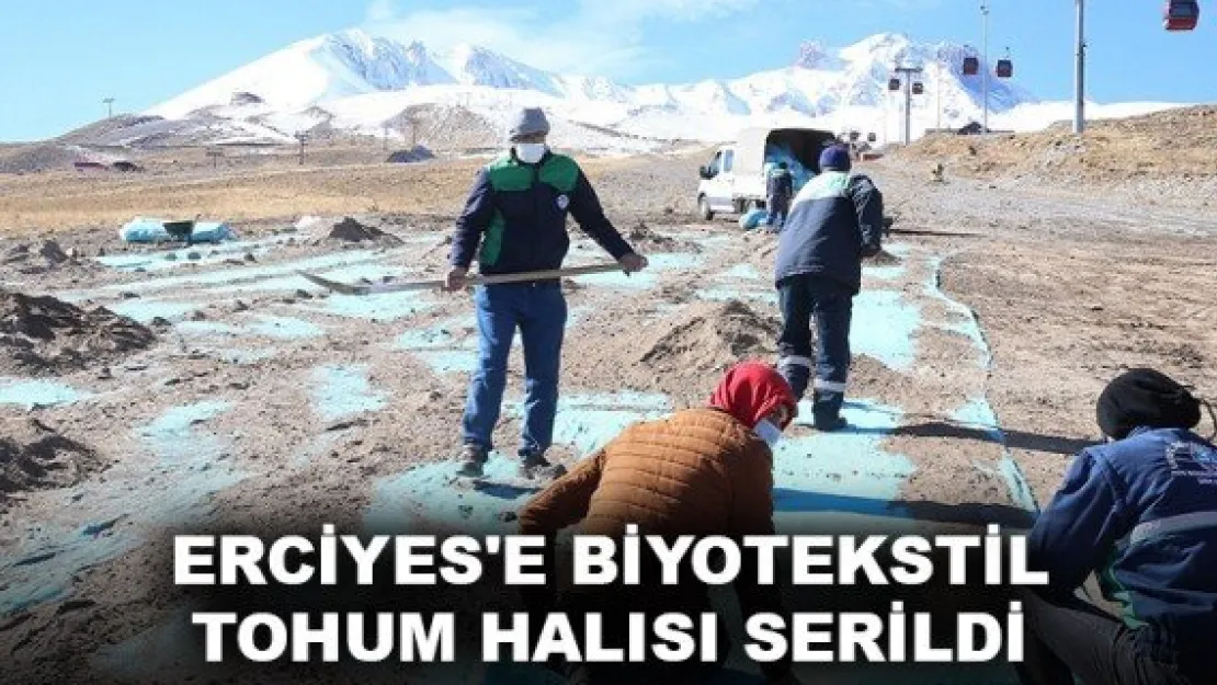 ERCİYES'E BİYOTEKSTİL  TOHUM HALISI SERİLDİ