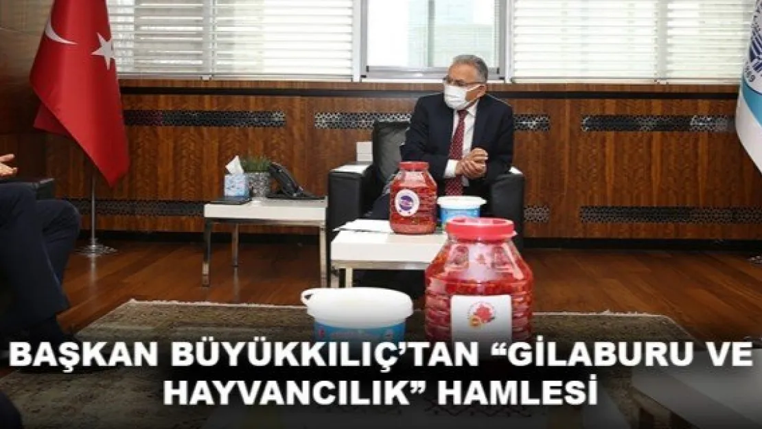 BAŞKAN BÜYÜKKILIÇ'TAN 'GİLABURU VE HAYVANCILIK' HAMLESİ