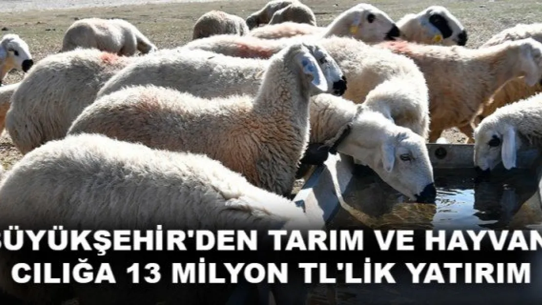 BÜYÜKŞEHİR'DEN TARIM VE HAYVANCILIĞA 13 MİLYON TL'LİK YATIRIM