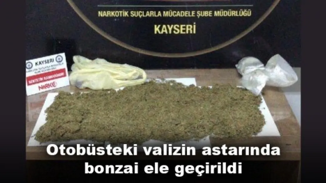 Otobüsteki valizin astarında bonzai ele geçirildi