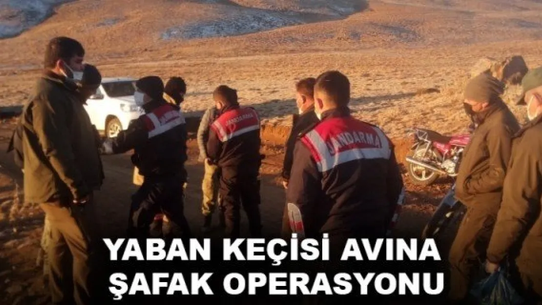 YABAN KEÇİSİ AVINA ŞAFAK OPERASYONU