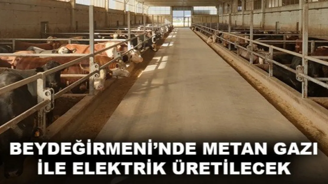 BEYDEĞİRMENİ'NDE METAN GAZI İLE ELEKTRİK ÜRETİLECEK