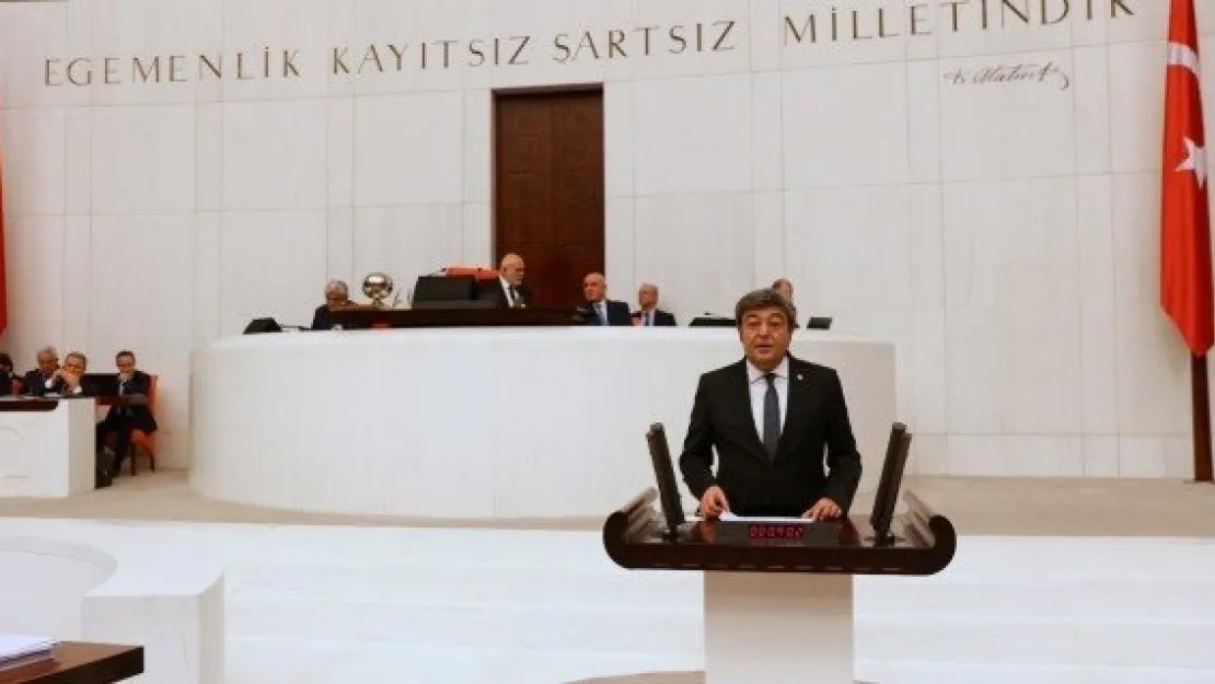 MİLLETVEKİLİ ATAŞ ARTAN CİNAYET VE İNTİHAR VAKALARINI MECLİSE  TAŞIDI!