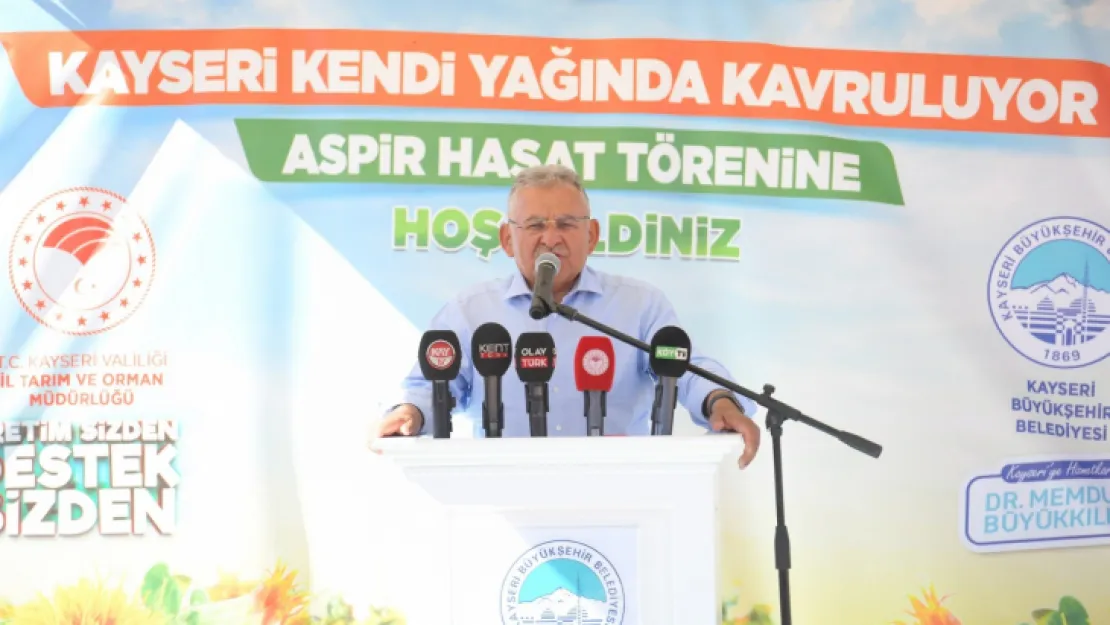 350 ton aspir hasadı yarın yapılacak