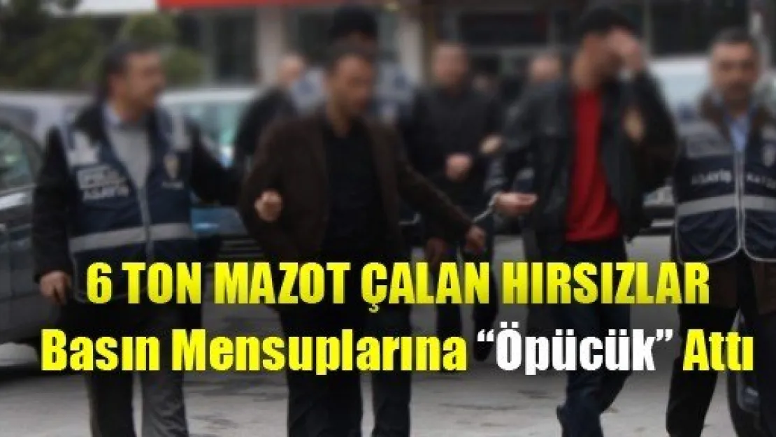 6 Ton Mazot Çaldılar