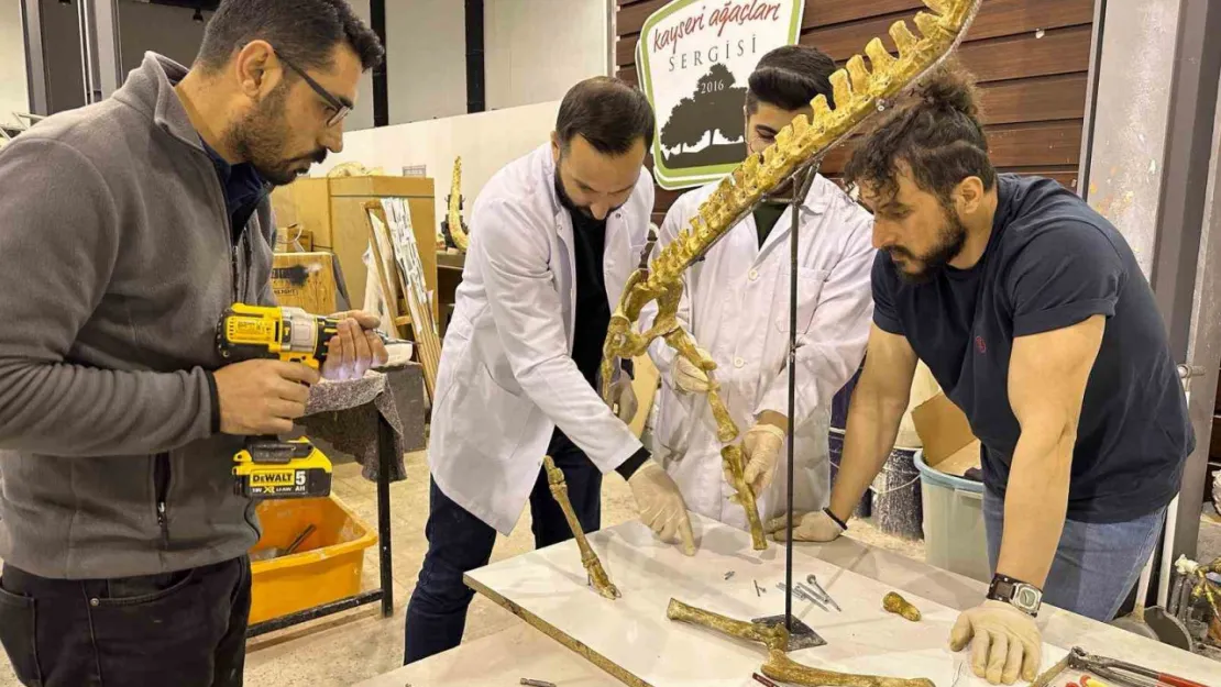 7,5 milyon yıllık fosil kazıları dünya paleontoloji tarihine ışık tutuyor