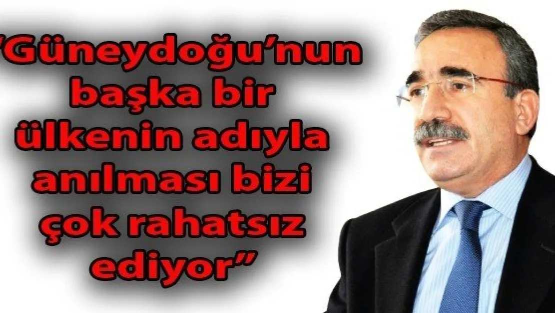 'GÜNEYDOĞU, BAŞKA BİR ÜLKENİN ADIYLA ANILIYOR. BU ÇOK RAHATSIZ EDİCİ'