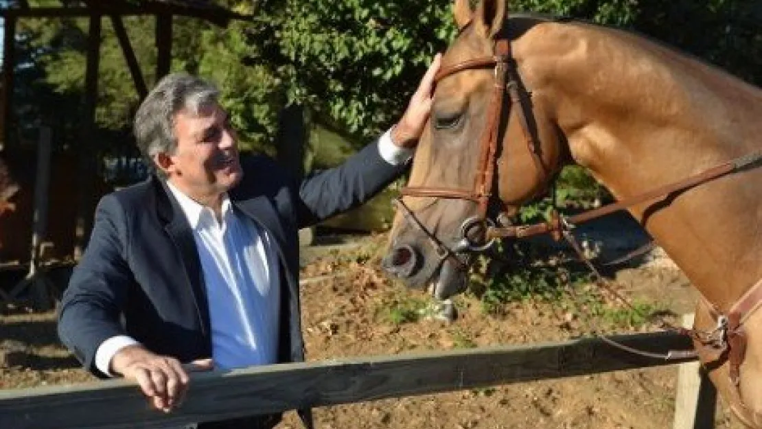 Abdullah Gül, 2013 albümünü paylaştı