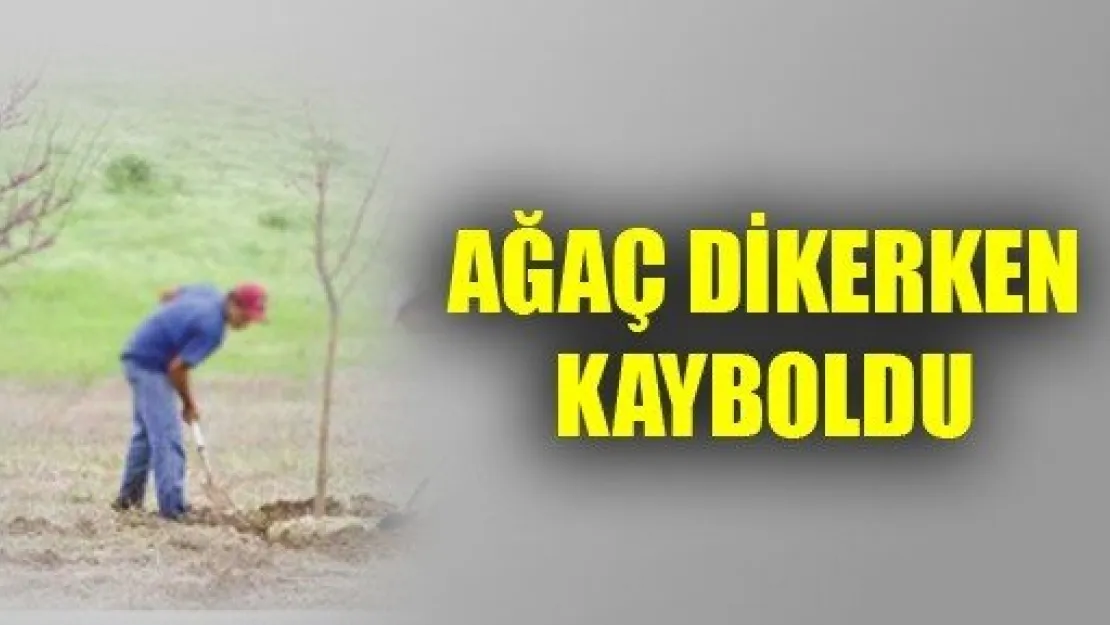 Ağaç Dikerken Kayboldu