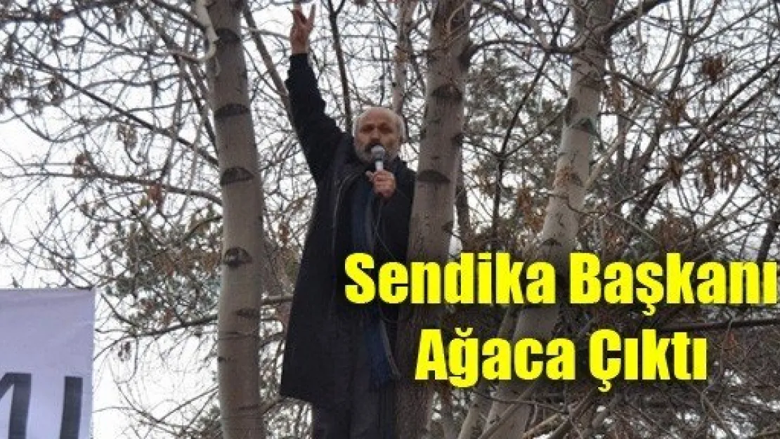 Ağaca Çıkarak Basın Açıklaması Yaptı