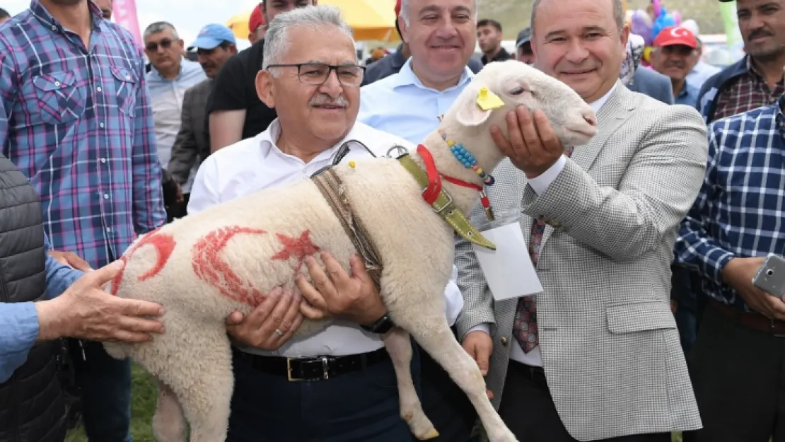 Akkışla'da Süt Üretme Tesisi yapılacak