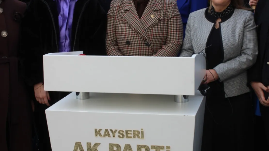 AKP Milletvekili Nergis: 'AK Parti kadına şiddeti önlemek için ciddi düzenlemeler yaptı'